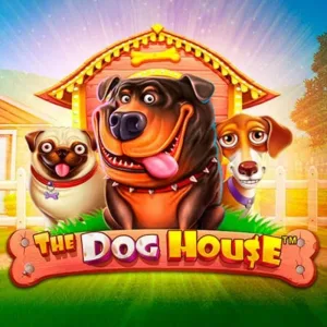 The Dog House Slot bei Gizbo Casino